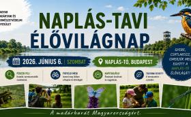 Naplás nap 2026