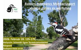 BalkániFakopáncsWorkshop