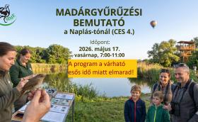 Elmarad a CES4