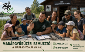 Madárgyűrűzési bemutató a Naplás-tónál (CES 7.)