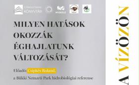 Csipkés Roland plakát