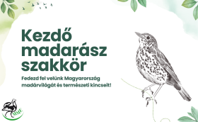 kezdo_madarasz_szakkor