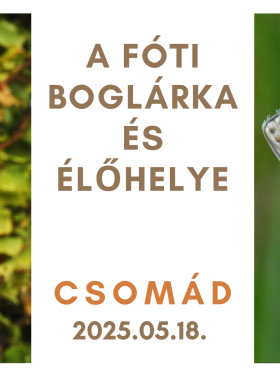 A Fóti Boglárka és élőhelye esemény
