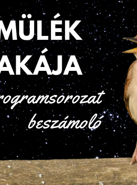 Fülemülék éjszakája