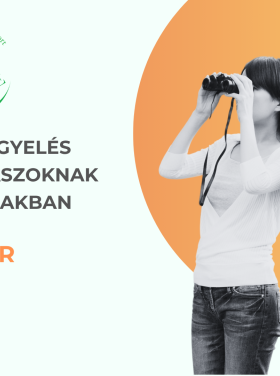 madármegfigyelés kezdőknek