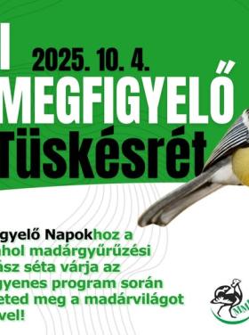 Európai Madármegfigyelő Napok - Pécs, Tüskésrét