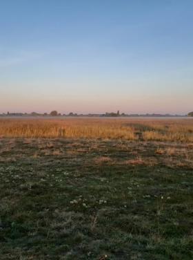 Európai Madármegfigyelő Napok - Farmos