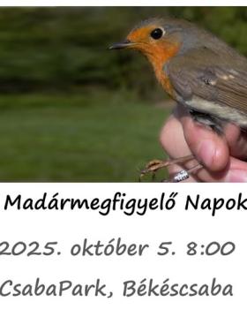 Európai Madármegfigyelő Napok - CsabaPark