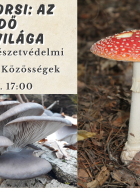 Máthé Orsi előadása az őszi gombákról