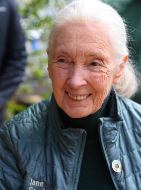Jane Goodall Magyarországon 2023-ban (Fotó: Rahme Nikola)