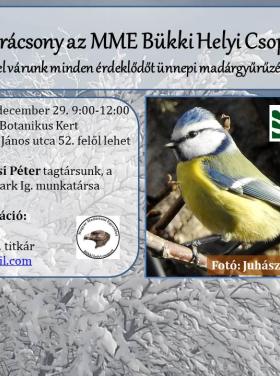 Madárkarácsony Egerben