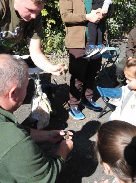 Európai Madármegfigyelő Napok, Várpalota