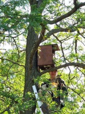 Vércseláda ellenőrzés (Fotó: Bodics Dániel)