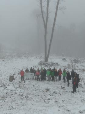 DJI_0447_Turchányi Bálint - Greenpeace.JPG