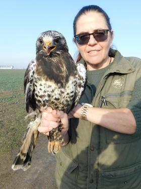 Dr. Tamás Enikő Anna