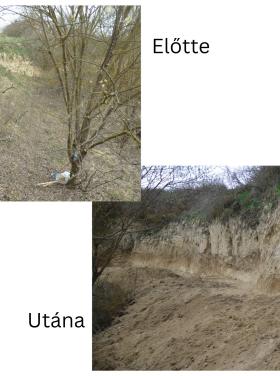 Gyurgyalagos partfal-felújítás V.