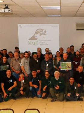 21. sólyomcsalogató