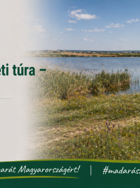 Sukórói természetismereti túra