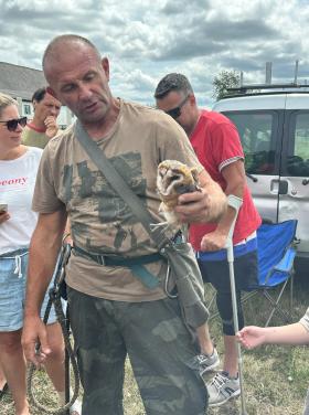 Dél-Balatoni HCS bagolygyűrűzés