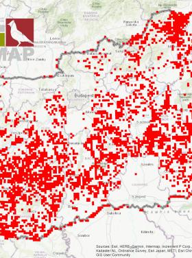 A MAP  kihívás négyzetei - Hol jársz itt, ahol a madarász se járt?