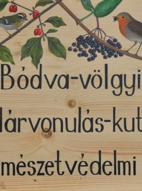 Bódva-völgyi gyűrűzőtábor