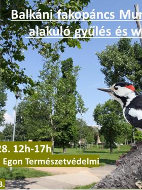 BalkániFakopáncsWorkshop