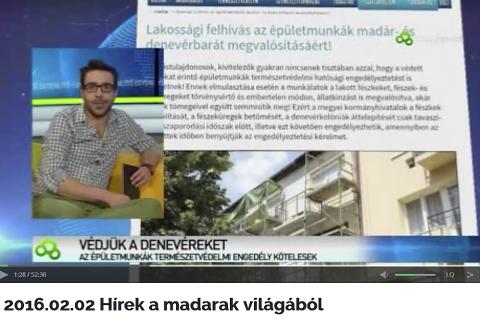 Denevérbarát felújítás videó