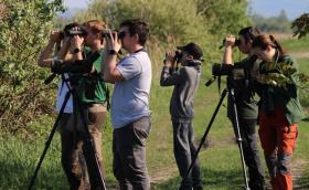 Ifisek távcsöves madármegfigyelés közben