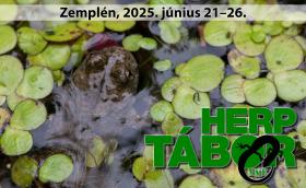 Herptábor