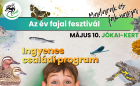 év fajai fesztivál_2025