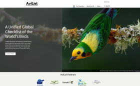 avibase_honlap_fejlec