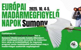 Európai Madármegfigyelő Napok - Baranya, Sumony