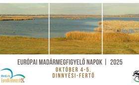 Európai Madármegfigyelő Napok - Dinnyés
