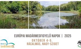 Európai Madármegfigyelő Napok - Ráczalmás