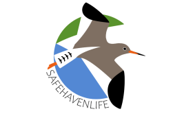 lifesafeheaven_logo