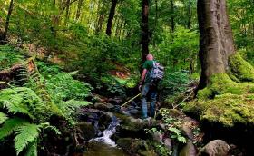 Mögöttünk a vízözön - hegyvidéki kisvízfolyás vizsgálata