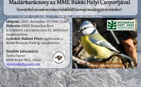 Madárkarácsony Egerben