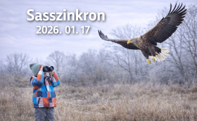 Sasszinkron Tiszavasvári 