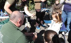 Európai Madármegfigyelő Napok, Várpalota