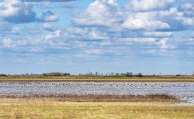 Kardoskúti Fehér-tó