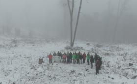 DJI_0447_Turchányi Bálint - Greenpeace.JPG