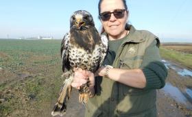 Dr. Tamás Enikő Anna