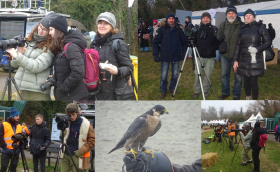 Éves beszámoló Dombóvár 2025