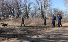 Közös járőrözés (Life SakerRoads)