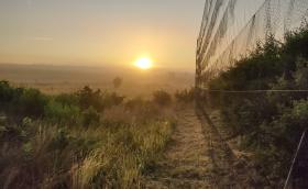 Hajnali gyűrűzés októberben