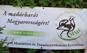 Veszprém Megyei Helyi Csoportról