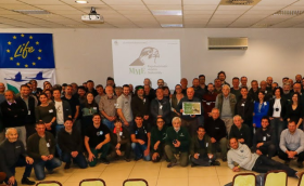 21. sólyomcsalogató