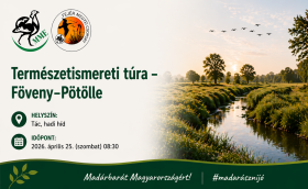 Fövenyi Természetismereti séta plakát