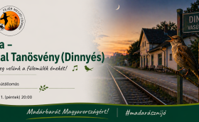 Esti túra madárdal tanösvény Dinnyés