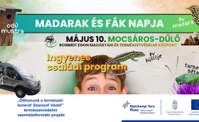 madarak és fák napja mocsárosdűlő